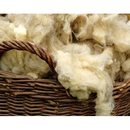 Natural Wool Fibre